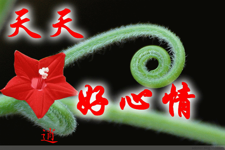 逍遥客的网易博客 - 逍遥客 - 逍遥客