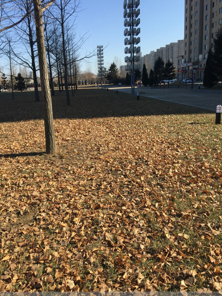您的温暖我来守护——送给爸爸的羊绒围巾 - pldlxn - 风征小屋